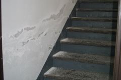 IMG_1747